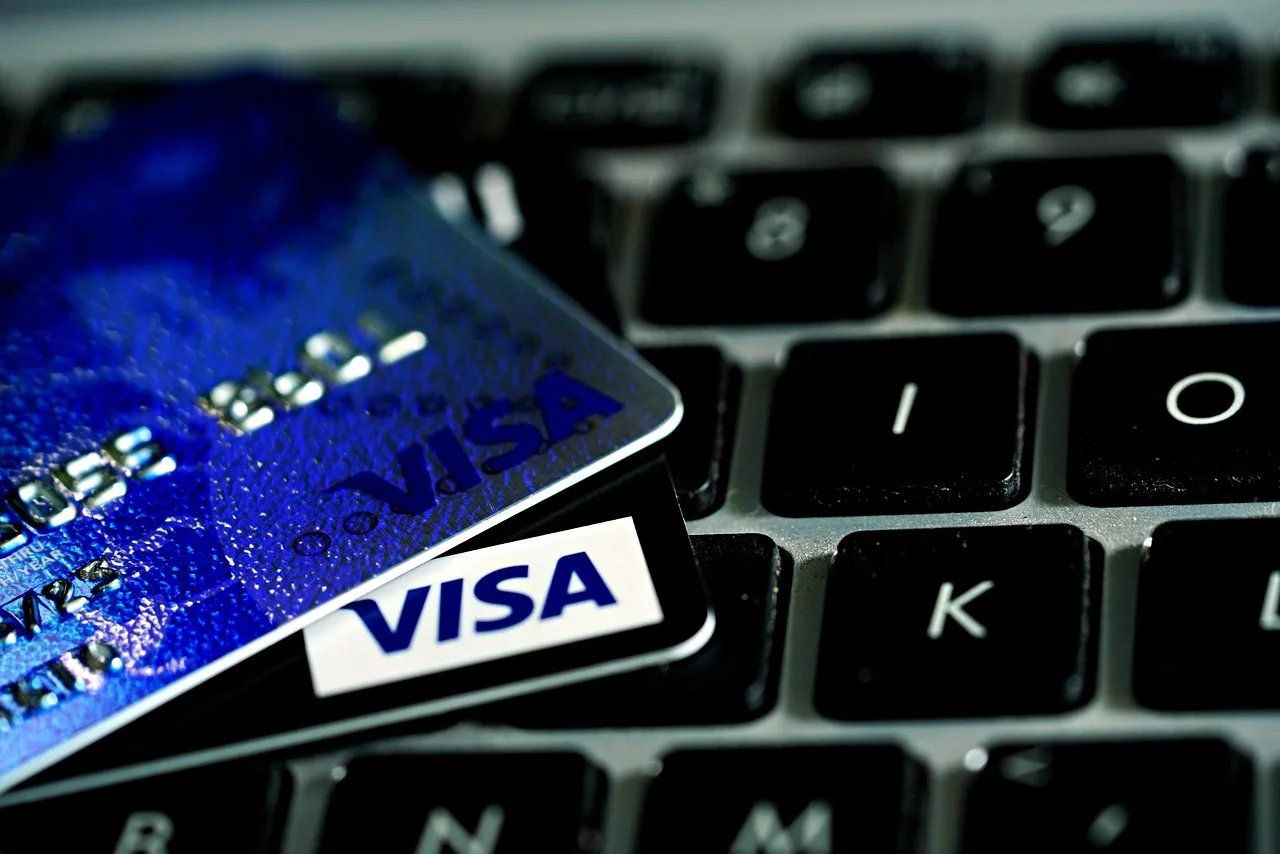 visa, visa card, payment, online, e-commerce, visa, visa, visa, visa, visa, visa card, visa card, visa card, visa card